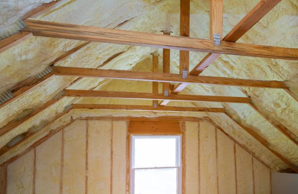 Best Residential Insulation in Atoka, NM