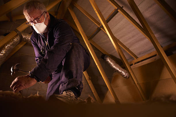 Best Commercial Insulation in Atoka, NM